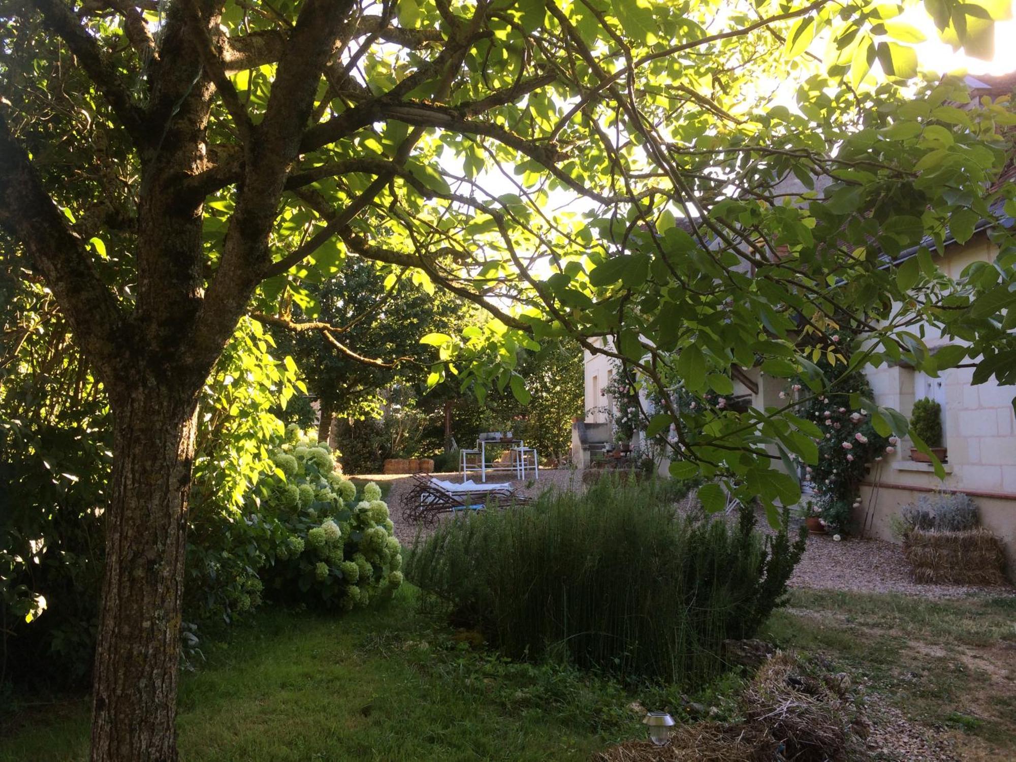 Une Maison, Un Jardin Berthenay Exterior photo